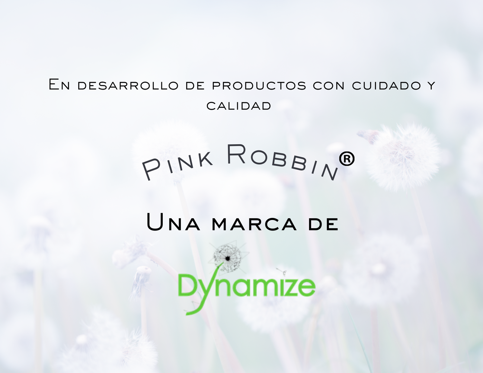Pink robbin una marca de dynamize en desarrollo